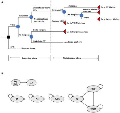 Cost-Effectiveness Analysis of Vedolizumab Compared With Infliximab in Anti-TNF-α-Naïve Patients With Moderate-to-Severe Ulcerative Colitis in China